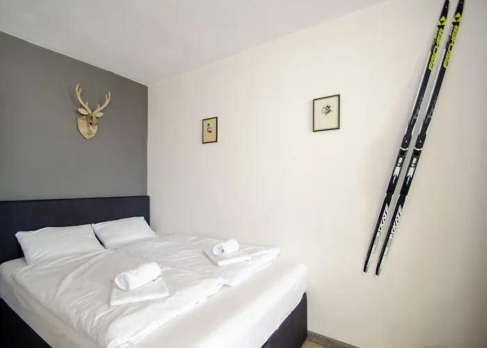 Apartment Dreamski Zell Am Town, Near *